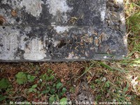 Savernake - photo: 00634