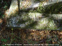 Savernake - photo: 00635