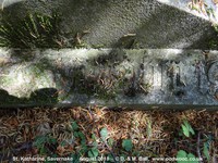 Savernake - photo: 00636