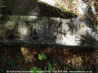 Savernake - photo: 00637