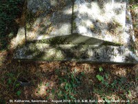 Savernake - photo: 00638