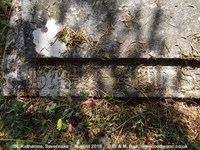 Savernake - photo: 00639