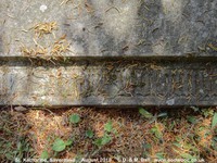 Savernake - photo: 00640