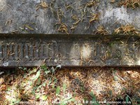 Savernake - photo: 00641