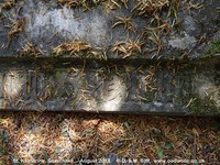 Savernake - photo: 00642