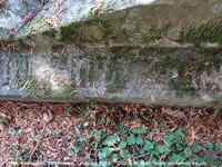 Savernake - photo: 00643