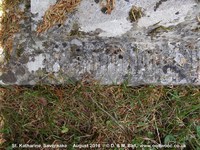 Savernake - photo: 00645