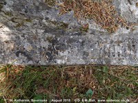 Savernake - photo: 00646