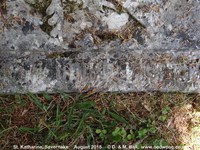 Savernake - photo: 00647