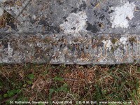 Savernake - photo: 00648
