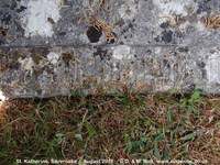 Savernake - photo: 00649