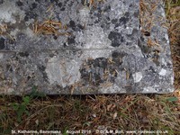 Savernake - photo: 00650