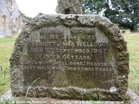 Savernake - photo: 00679