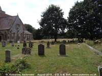 Savernake - photo: 00681