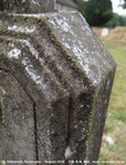 Savernake - photo: 00685