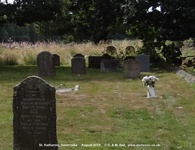 Savernake - photo: 00701