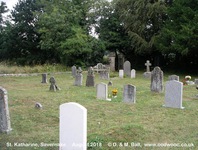 Savernake - photo: 00715