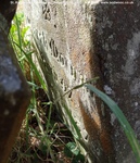 Savernake - photo: 00720