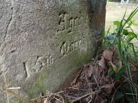 Savernake - photo: 00721