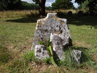 Savernake - photo: 00740