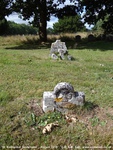 Savernake - photo: 00742
