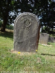 Savernake - photo: 00746