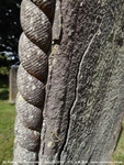 Savernake - photo: 00750