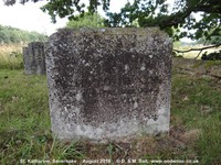 Savernake - photo: 00752