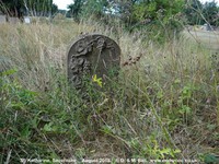 Savernake - photo: 00759