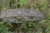 Savernake - photo: 00764