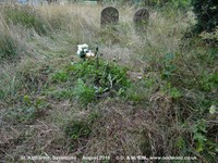 Savernake - photo: 00766