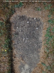 Savernake - photo: 00771
