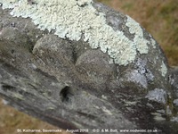 Savernake - photo: 00788