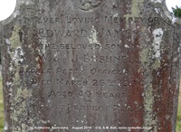 Savernake - photo: 00813