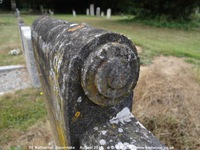 Savernake - photo: 00824