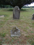 Savernake - photo: 00868