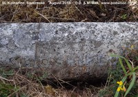 Savernake - photo: 00887