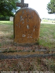 Savernake - photo: 00926