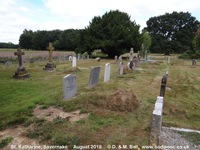 Savernake - photo: 00936