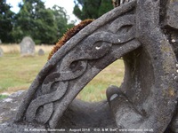 Savernake - photo: 00950