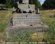 Savernake - photo: 00978