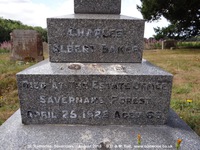 Savernake - photo: 00986