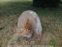 Savernake - photo: 01018