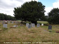 Savernake - photo: 01019