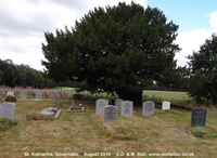 Savernake - photo: 01025