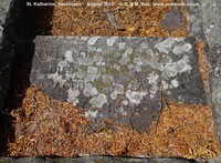 Savernake - photo: 01028