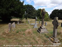 Savernake - photo: 01038