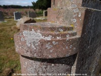Savernake - photo: 01042
