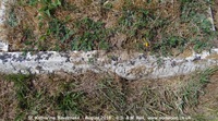 Savernake - photo: 01051