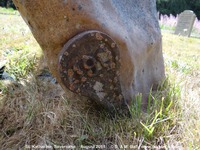 Savernake - photo: 01063